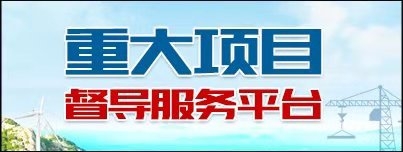 山东省重大项目督导服务平台